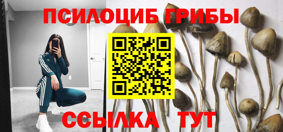 купить   Вход с VPN  Волжский  Псилоцибиновые грибы прущие грибы 