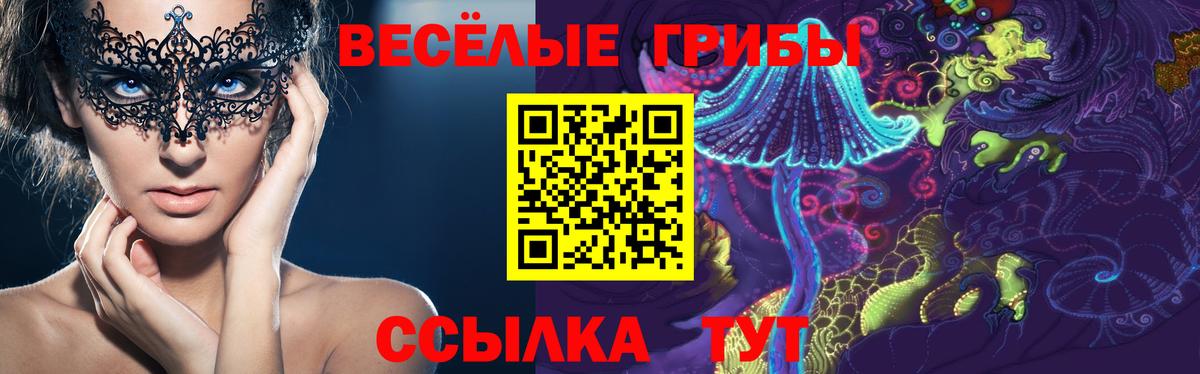 Псилоцибиновые грибы мицелий Волжский